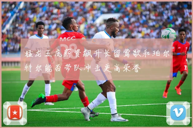 猛龙五虎薪资飙升长留莺歌和珀尔特尔能否带队冲击更高荣誉