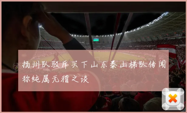 扬州队驳斥买下山东泰山梯队传闻称纯属无稽之谈
