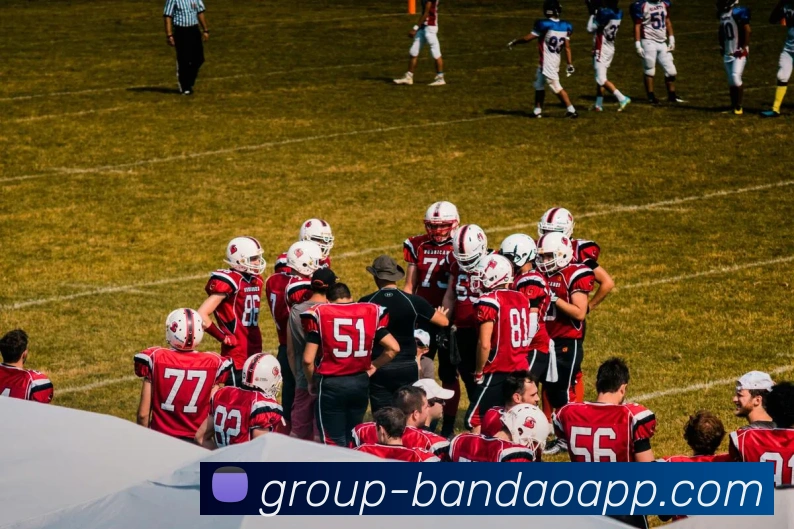 半岛体育APP 体育赛事宣传图